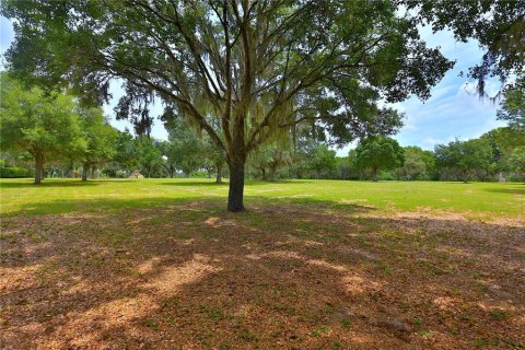 Terrain à vendre à Ocala, Floride № 1688555 - photo 4