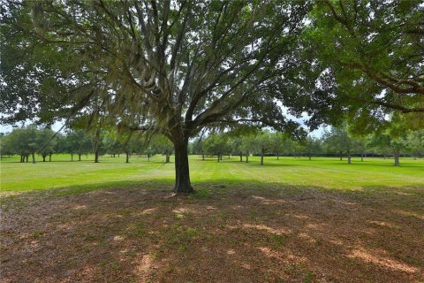 Terrain à vendre à Ocala, Floride № 1688555 - photo 6