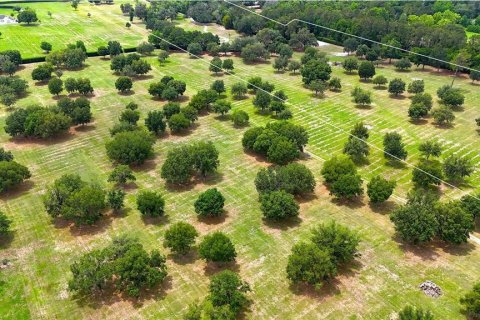 Terrain à vendre à Ocala, Floride № 1688555 - photo 3