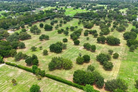Terrain à vendre à Ocala, Floride № 1688555 - photo 5