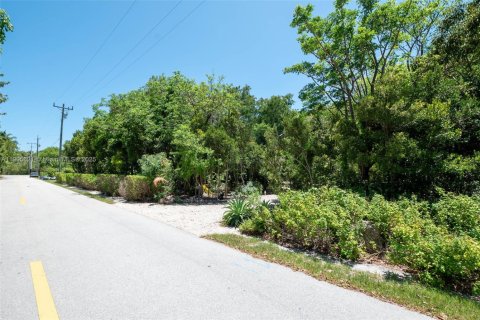 Land in Key Largo, Florida № 2012531 - photo 13