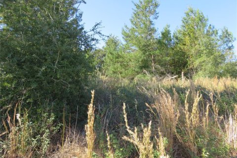 Terreno en venta en Ocala, Florida № 1771103 - foto 3