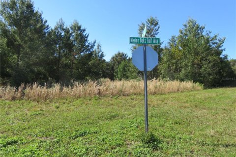Terreno en venta en Ocala, Florida № 1771103 - foto 15