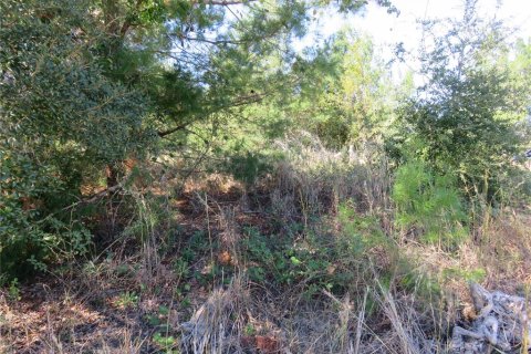 Terreno en venta en Ocala, Florida № 1771103 - foto 8