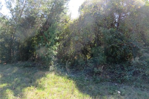Terreno en venta en Ocala, Florida № 1771103 - foto 5
