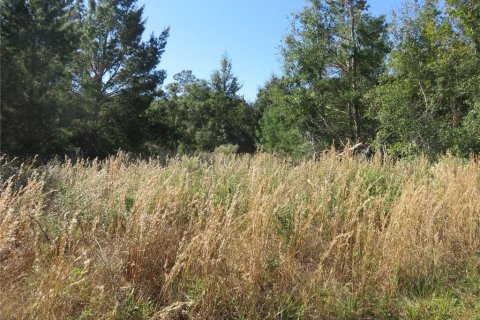 Terreno en venta en Ocala, Florida № 1771103 - foto 2