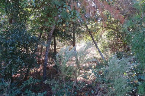 Terreno en venta en Ocala, Florida № 1771103 - foto 7
