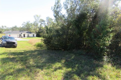 Terreno en venta en Ocala, Florida № 1771103 - foto 6