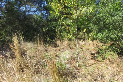 Terreno en venta en Ocala, Florida № 1771103 - foto 9