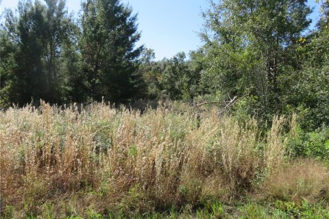 Terreno en venta en Ocala, Florida № 1771103 - foto 4
