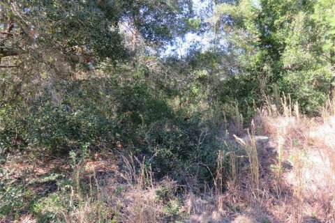 Terreno en venta en Ocala, Florida № 1771103 - foto 10