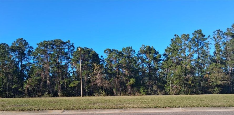Land in Orlando, Florida № 1563328