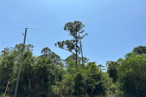 Land in Punta Gorda, Florida № 2228543 - photo 3