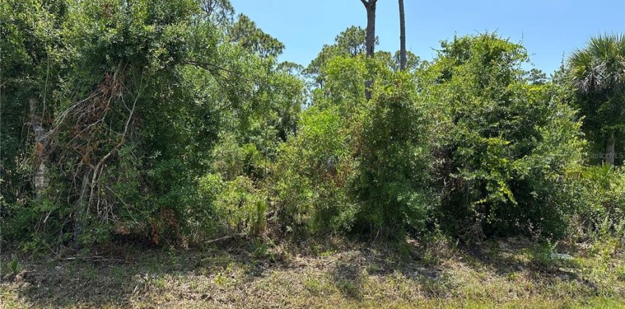Land in Punta Gorda, Florida № 2228543
