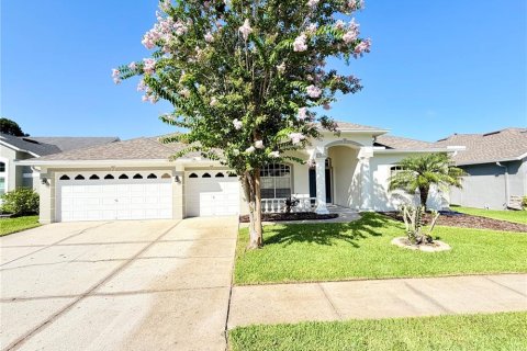 House in Tampa, Florida 4 bedrooms, 236.62 sq.m. № 2203033