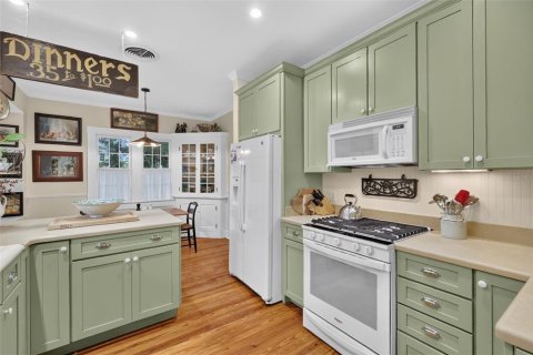 Villa ou maison à vendre à Mount Dora, Floride: 4 chambres, 238.2 m2 № 2287341 - photo 16