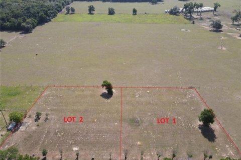 Terrain à Dade City, Floride № 2094124