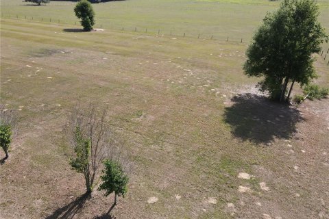 Terrain à vendre à Dade City, Floride № 2094124 - photo 6