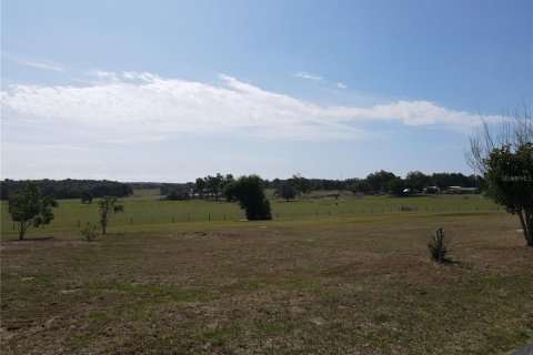 Terrain à vendre à Dade City, Floride № 2094124 - photo 24