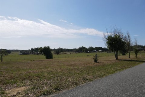 Terrain à vendre à Dade City, Floride № 2094124 - photo 21