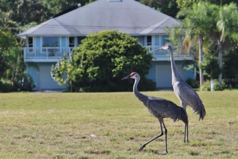 Land in Hernando Beach, Florida № 2379666 - photo 16