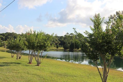 Land in Hernando Beach, Florida № 2379666 - photo 5