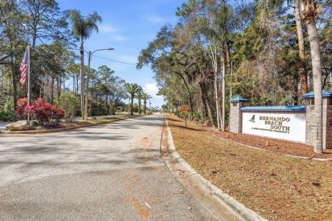 Land in Hernando Beach, Florida № 2379666 - photo 12