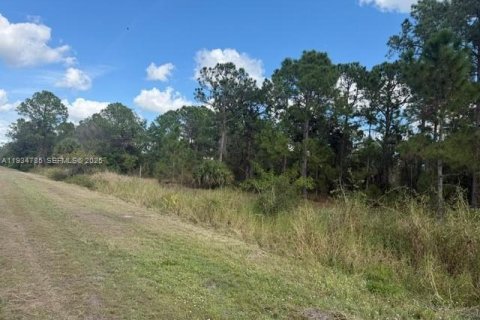 Propiedad comercial en venta en Clewiston, Florida № 1992948 - foto 6