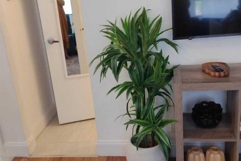 Copropriété à vendre à Deerfield Beach, Floride: 1 chambre, 78.97 m2 № 2088003 - photo 19
