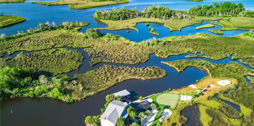 Villa ou maison à Crystal River, Floride 3 chambres, 221.85 m2 № 1317541