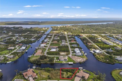 Land in Port Charlotte, Florida № 1448206 - photo 1