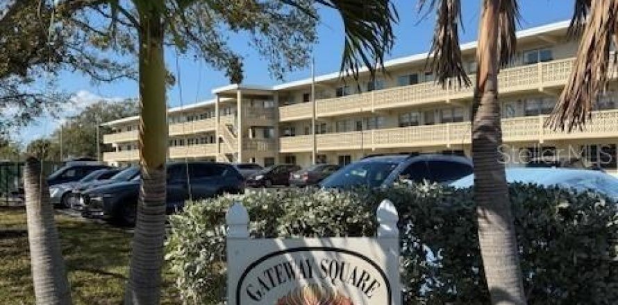 Condo in Saint Petersburg, Florida, 1 bedroom  № 2219553