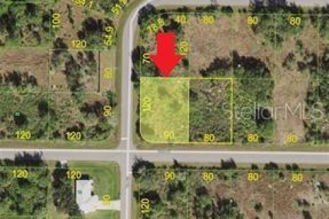 Terreno en Punta Gorda, Florida № 2195197