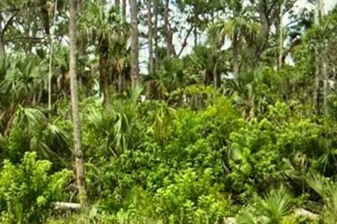 Land in Lehigh Acres, Florida № 2161434