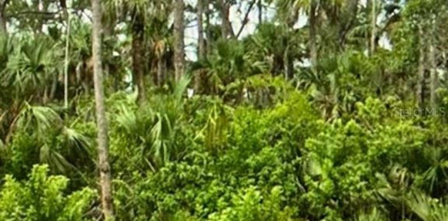 Land in Lehigh Acres, Florida № 2161434