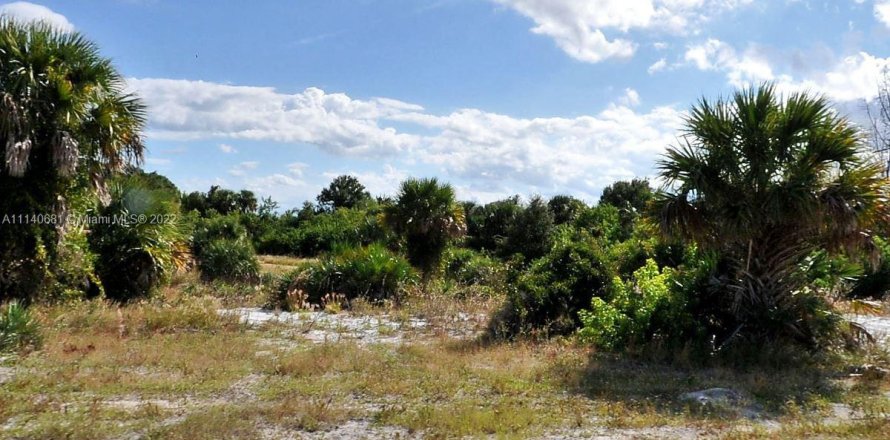 Коммерческая недвижимость в Сент-Луси, Флорида № 2034464