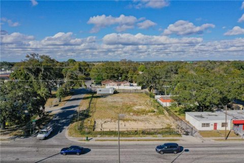 Land in Tampa, Florida № 213606 - photo 4