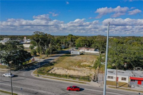 Land in Tampa, Florida № 213606 - photo 5