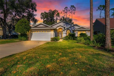 Villa ou maison à vendre à Wesley Chapel, Floride: 2 chambres, 164.72 m2 № 2142115 - photo 4