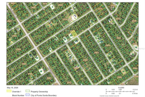 Land in Port Charlotte, Florida № 2214746 - photo 2