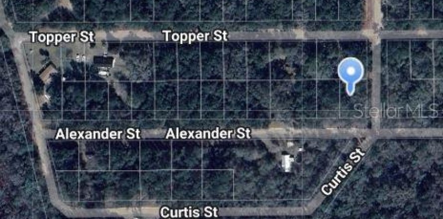 Terrain à Interlachen, Floride № 2223900