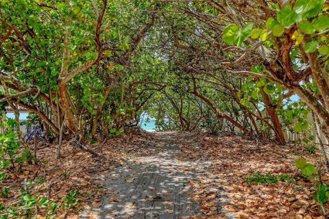 House in Longboat Key, Florida 4 bedrooms, 279.54 sq.m. № 2148450 - photo 7