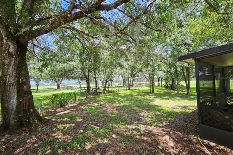 House in Arcadia, Florida 5 bedrooms, 389.07 sq.m. № 1900895 - photo 21
