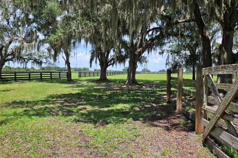 House in Arcadia, Florida 5 bedrooms, 389.07 sq.m. № 1900895 - photo 24