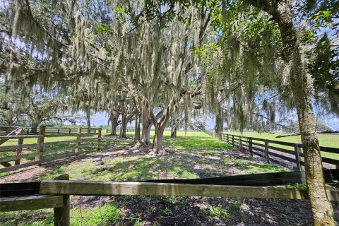 House in Arcadia, Florida 5 bedrooms, 389.07 sq.m. № 1900895 - photo 22