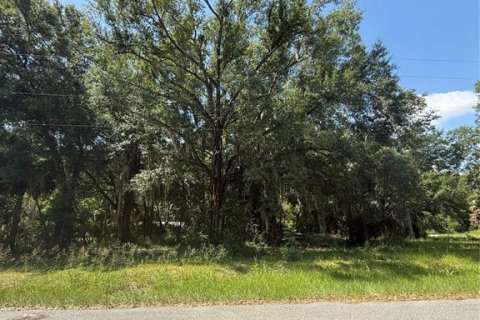 Terrain à vendre à Leesburg, Floride № 2266761 - photo 6