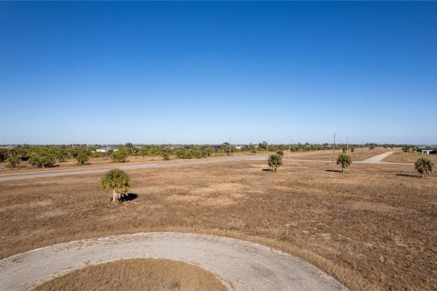 Land in Placida, Florida № 2228908 - photo 3