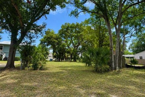 Terrain à Saint Petersburg, Floride № 2207834