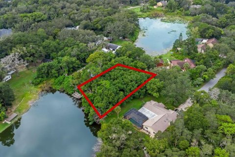 Land in Winter Springs, Florida № 1908180 - photo 4