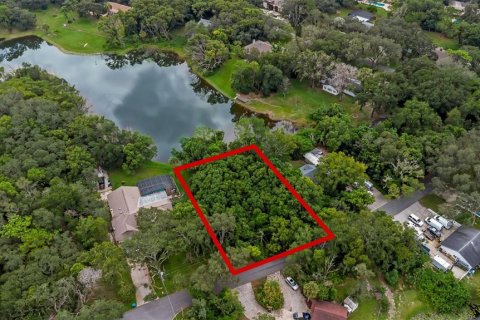 Land in Winter Springs, Florida № 1908180 - photo 5